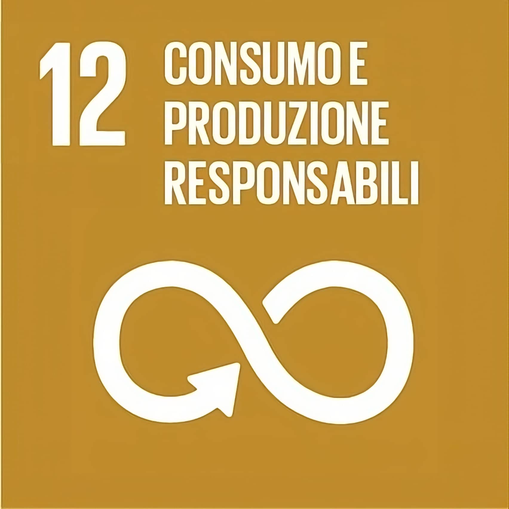 Descrizione Articolo 12